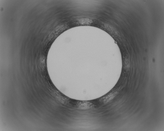 X0000062890321200602101748