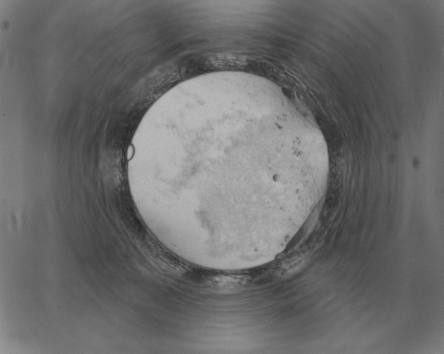 X0000062890323200602101748