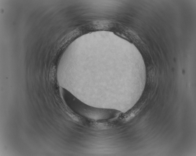 X0000062890325200602101747