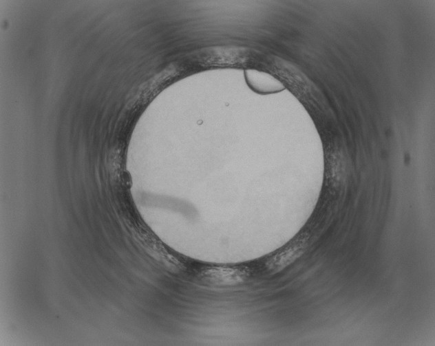 X0000062890326200602101747