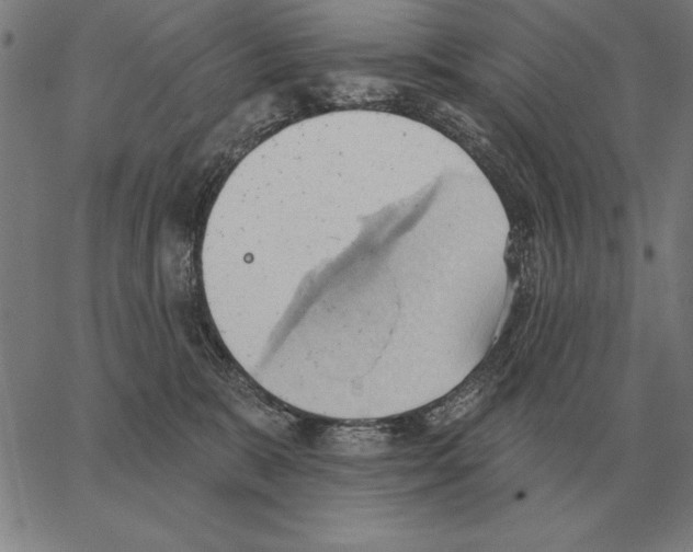 X0000062890327200602101747