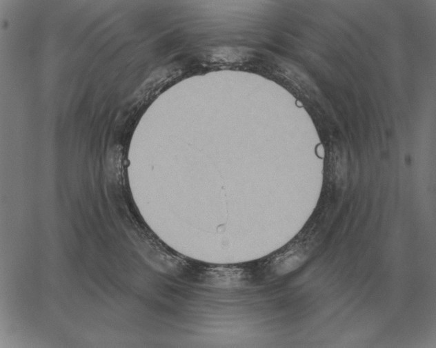 X0000062890328200602101747