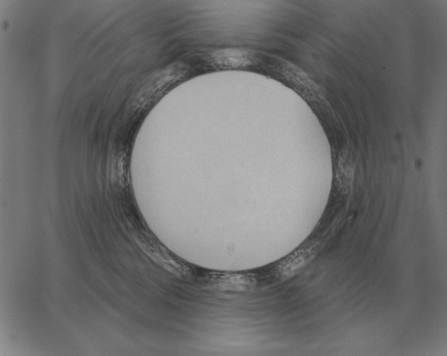 X0000062890330200602101747