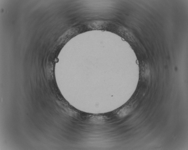 X0000062890332200602101747