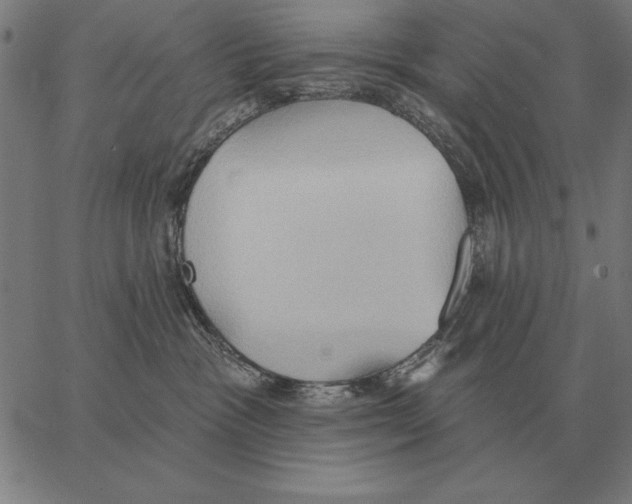 X0000062890333200602101747