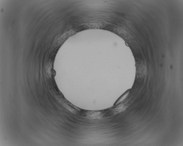 X0000062890334200602101747