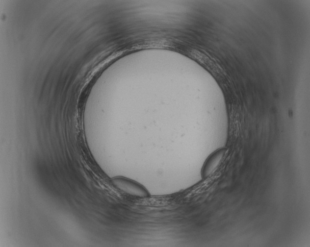 X0000062890338200602101747