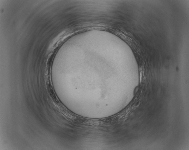 X0000062890339200602101747