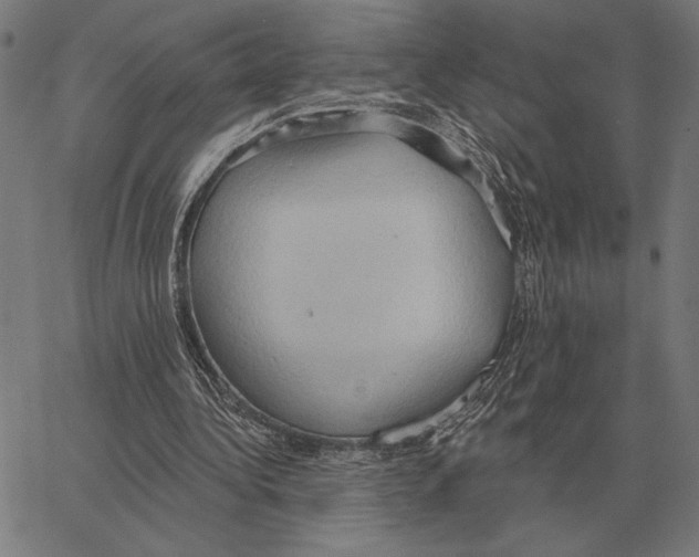 X0000062890340200602101747