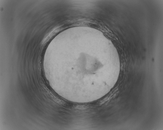 X0000062890341200602101747