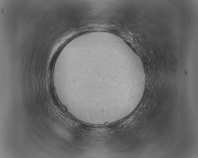 X0000062890342200602101747