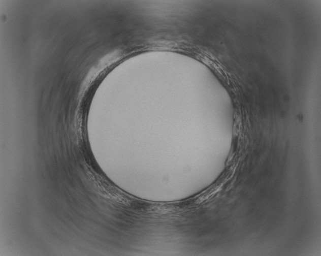 X0000062890343200602101747