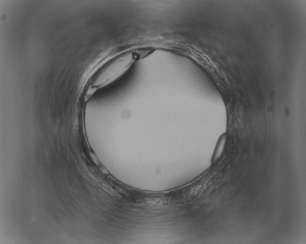 X0000062890344200602101747