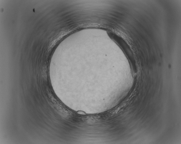 X0000062890345200602101747