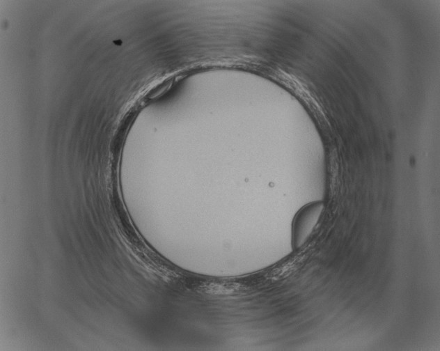 X0000062890346200602101747