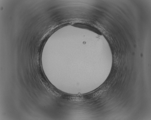 X0000062890347200602101747