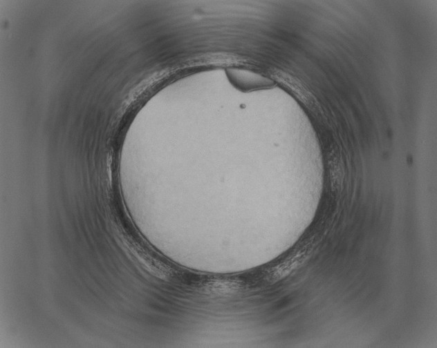 X0000062890350200602101747