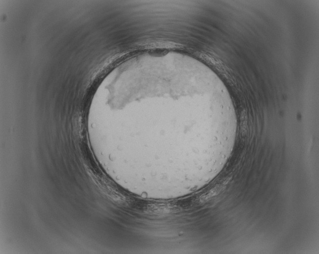 X0000062890351200602101747