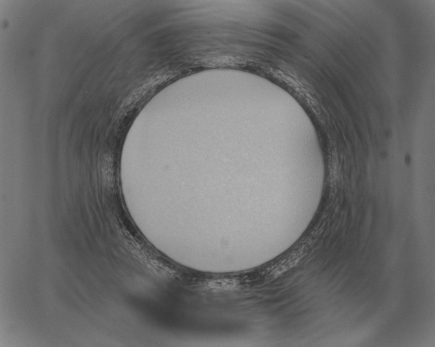 X0000062890353200602101747