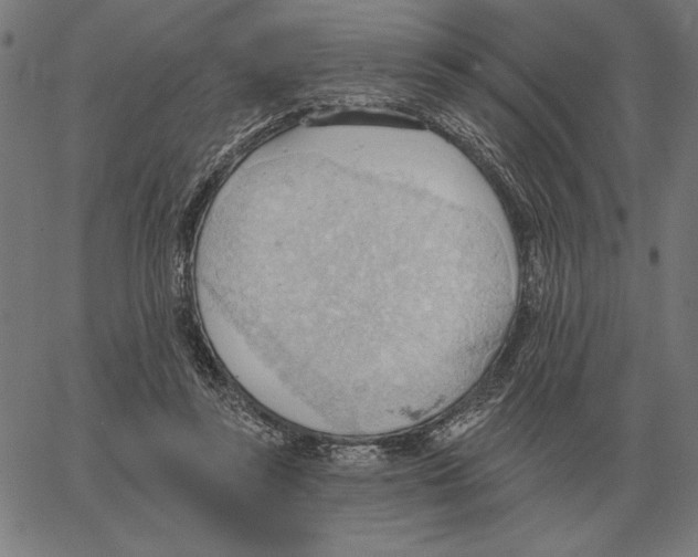 X0000062890355200602101747