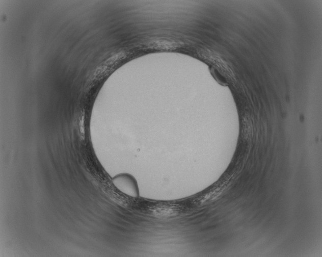 X0000062890358200602101747