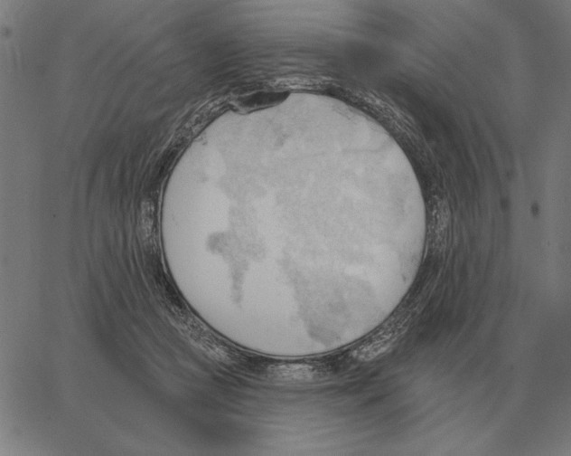 X0000062890361200602101747