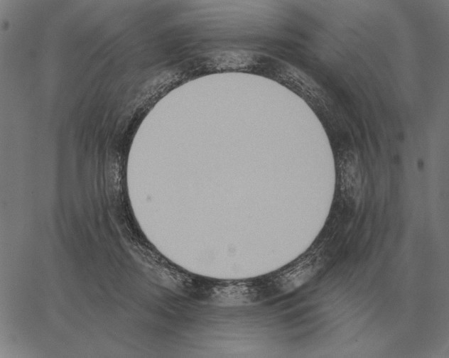 X0000062890362200602101747