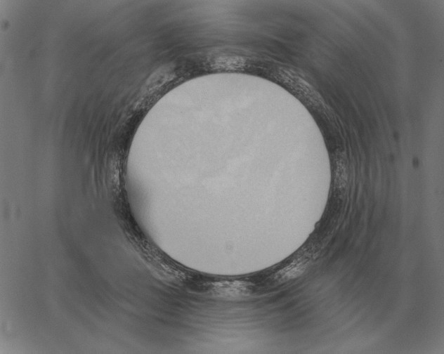 X0000062890363200602101747