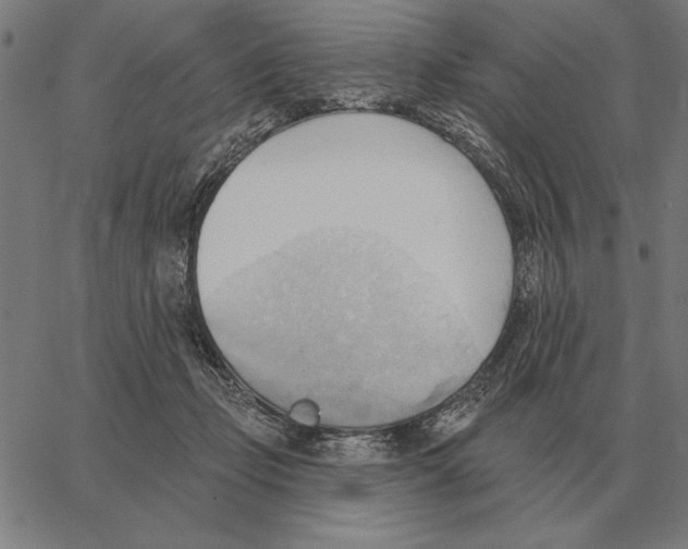 X0000062890365200602101747