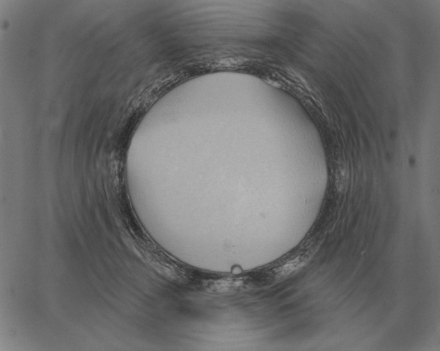 X0000062890366200602101747