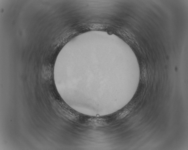 X0000062890367200602101747