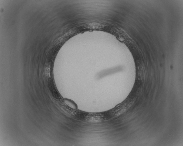 X0000062890368200602101747