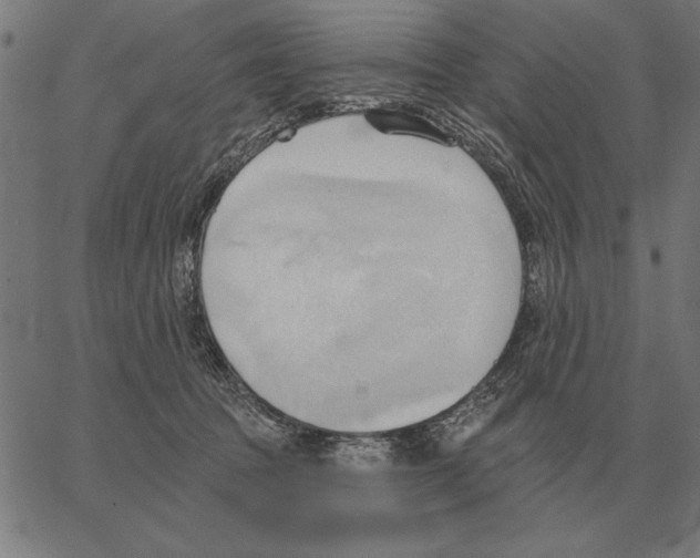 X0000062890369200602101747