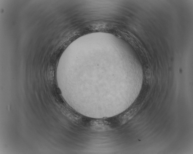 X0000062890372200602101747