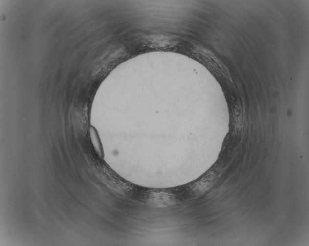 X0000062890376200602101747