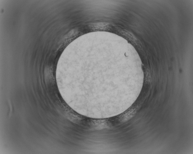 X0000062890377200602101747