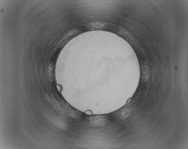 X0000062890378200602101747