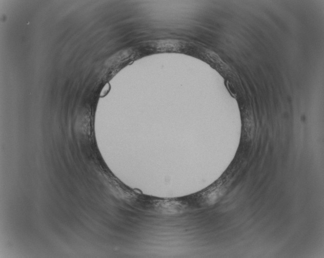 X0000062890379200602101747