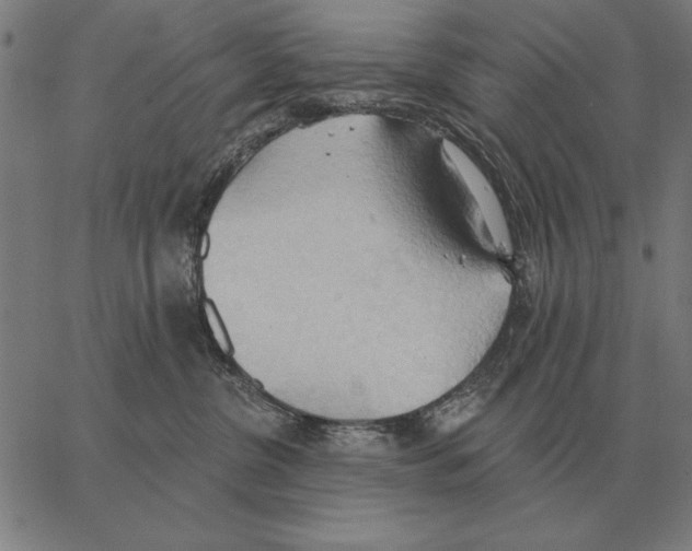 X0000062890380200602101747