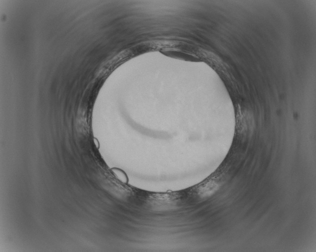 X0000062890381200602101747