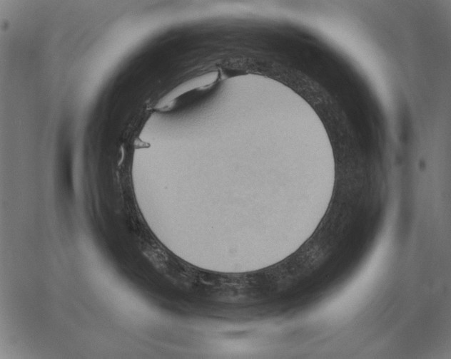 X0000062890382200602101747