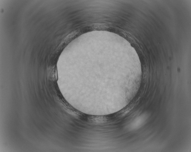 X0000062890383200602101747