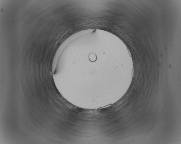 X0000062890384200602101747