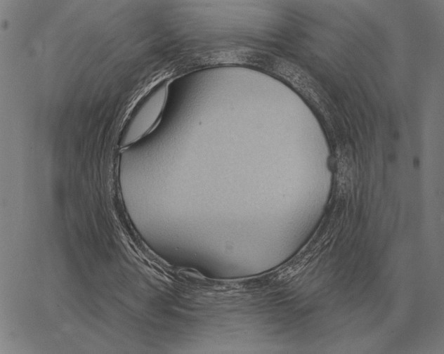 X0000062890386200602101746