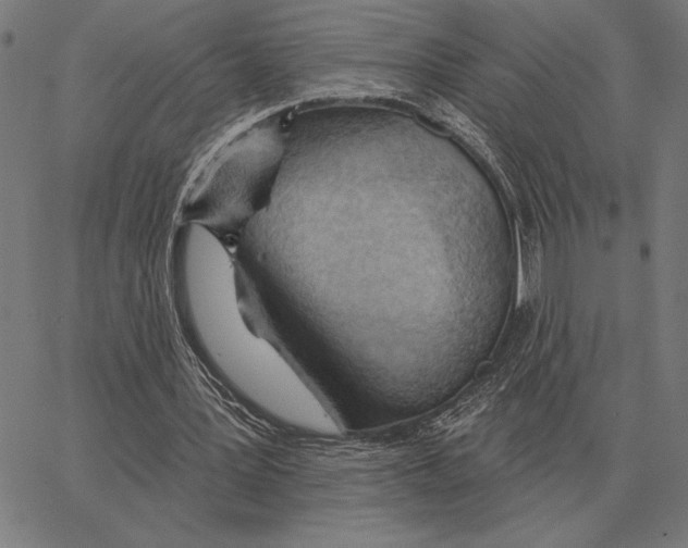 X0000062890387200602101746