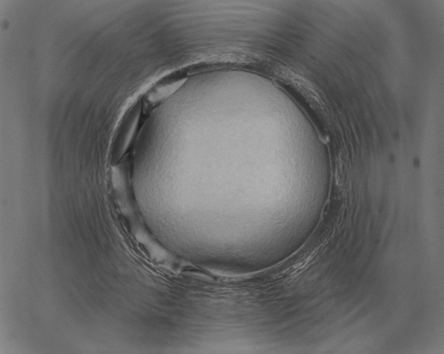 X0000062890388200602101746