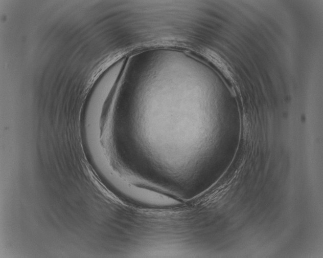 X0000062890389200602101746