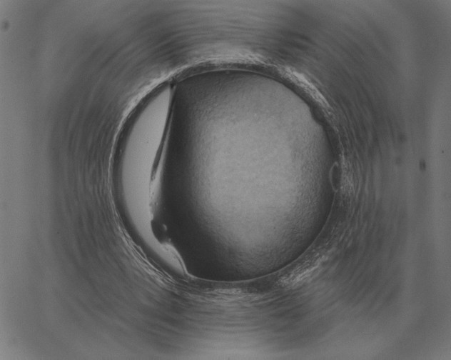 X0000062890391200602101746