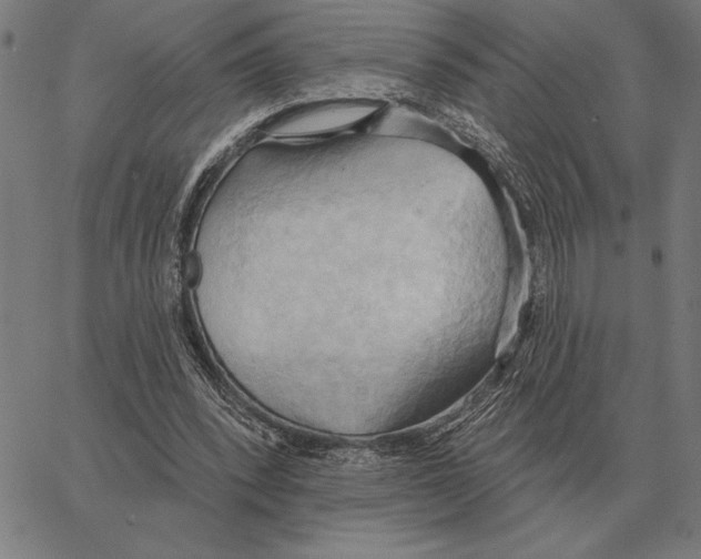 X0000062890392200602101746