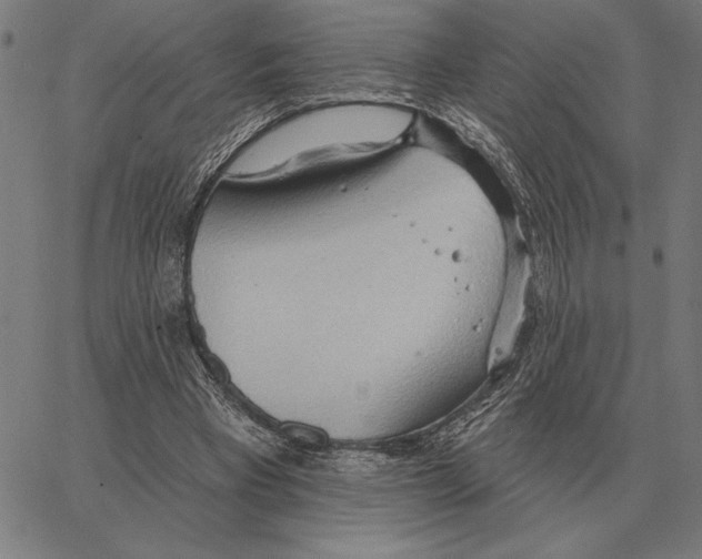 X0000062890393200602101746